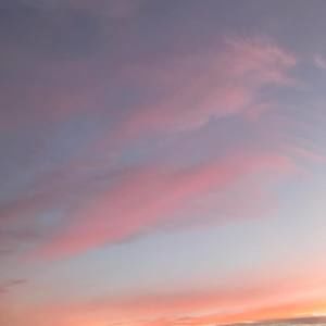 Meet your Posher, Libby